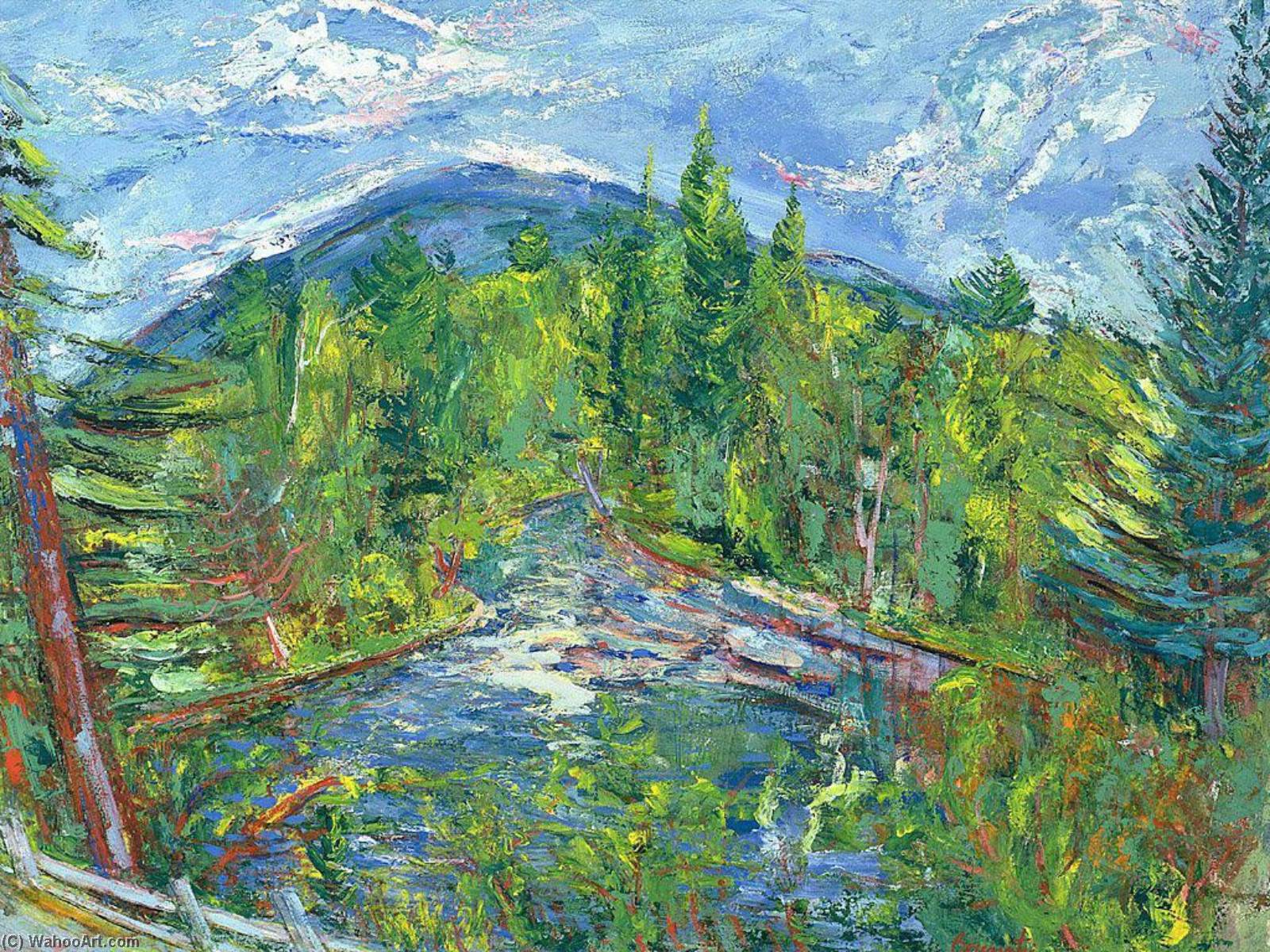 Mont Rolland Woods — Sam Borenstein