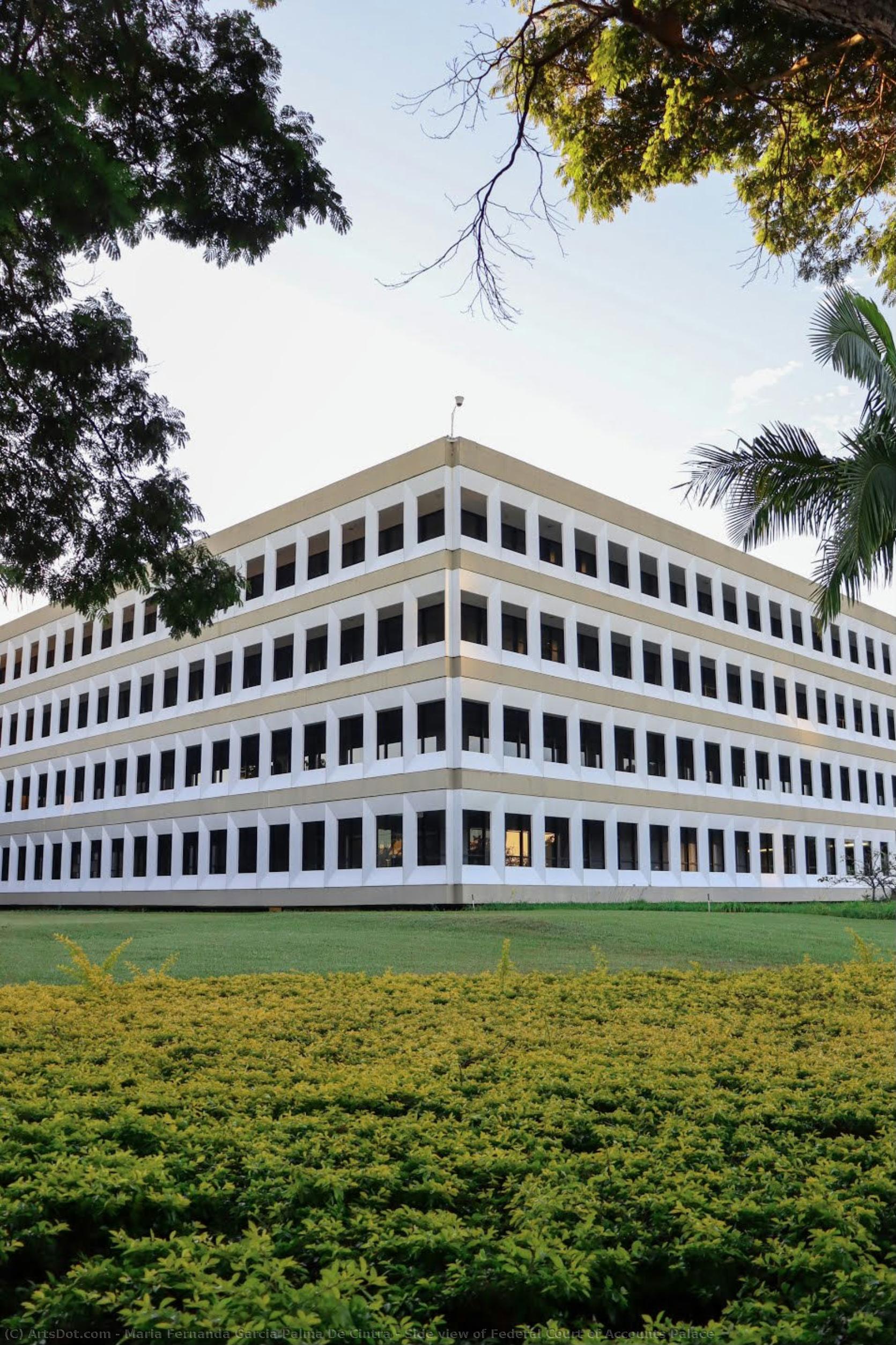 Side View Of Federal Court Of Accounts Palace — Maria Fernanda Garcia Palma De Cintra