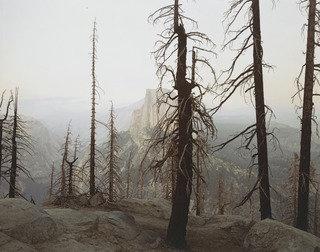 Burnt Forest And Half Dome, Yosemite — Richard Misrach