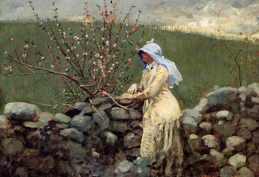 Peach Blossoms 1 — Winslow Homer