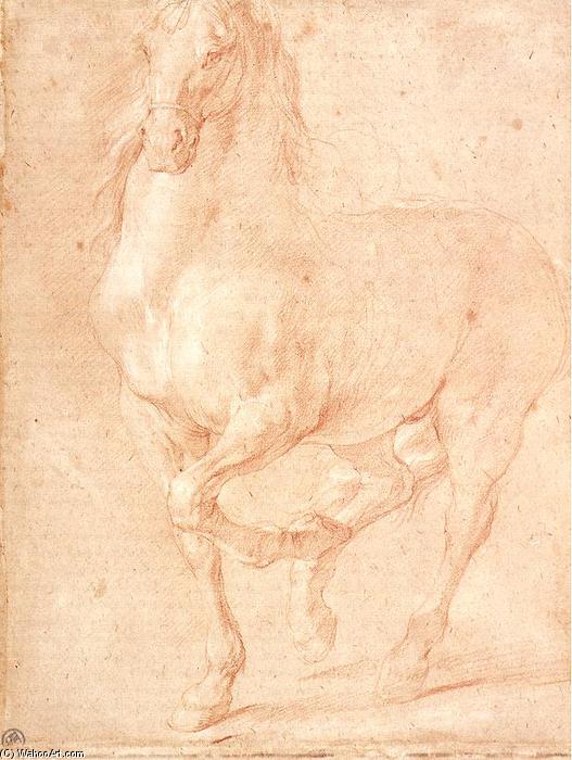 Study Of A Horse — Pierre Puget