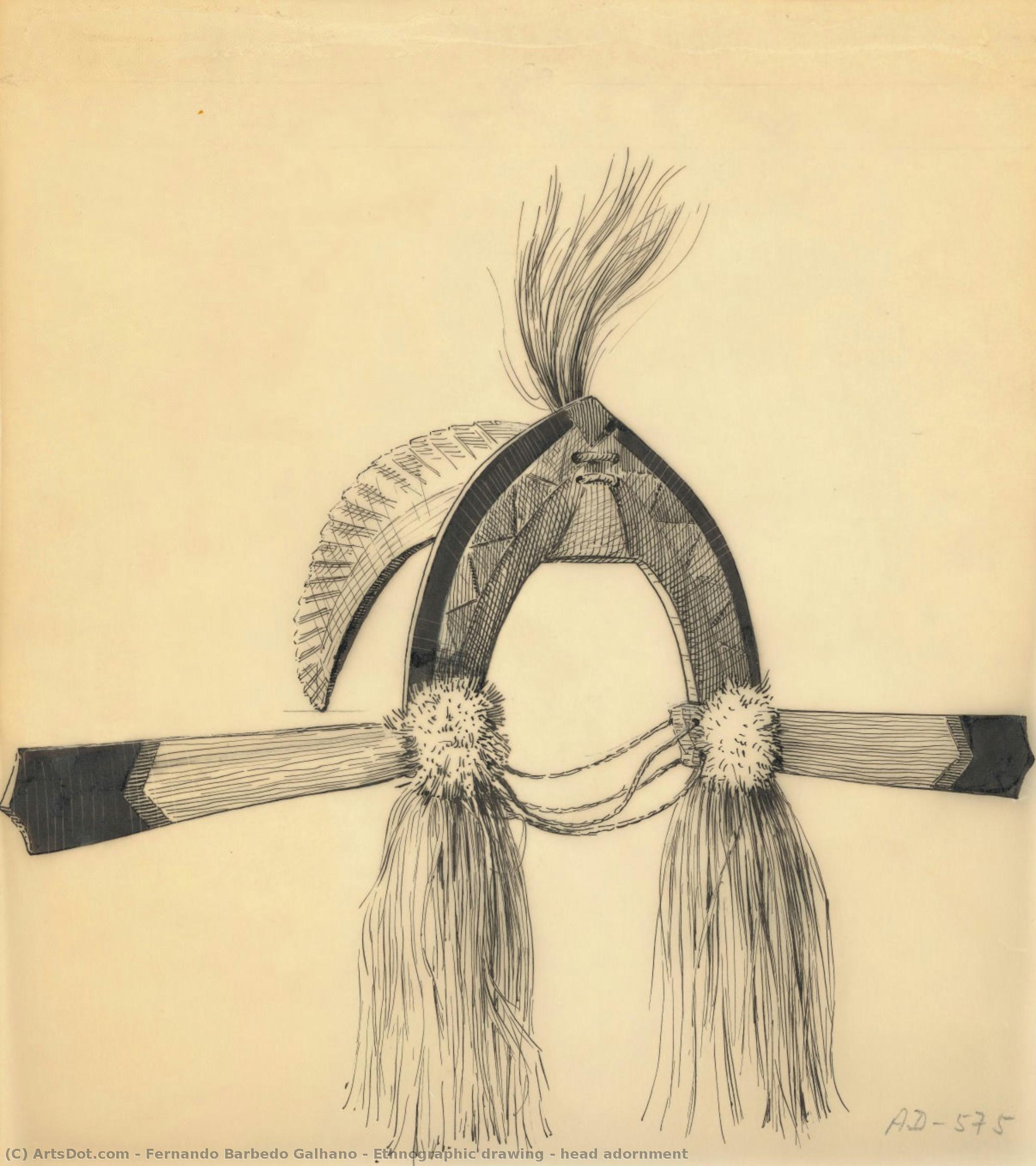 Ethnographic Drawing - Head Adornment — Фернанду Барбеду Гальяну