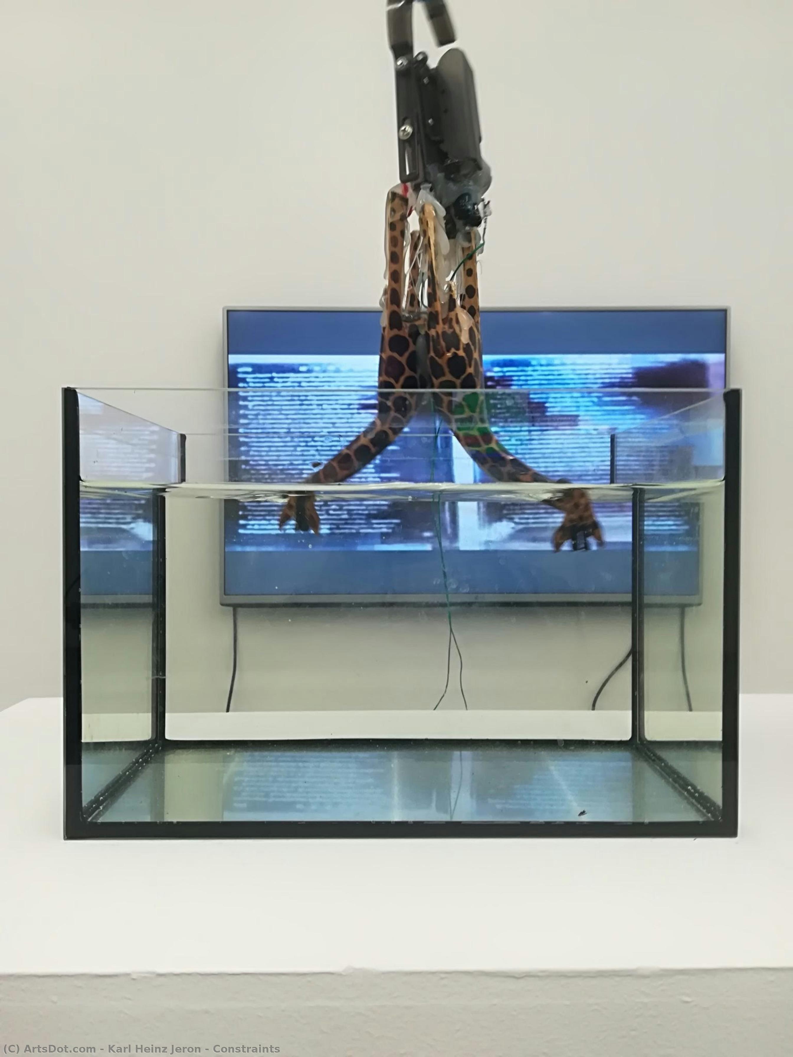 Constraints — Karl Heinz Jeron
