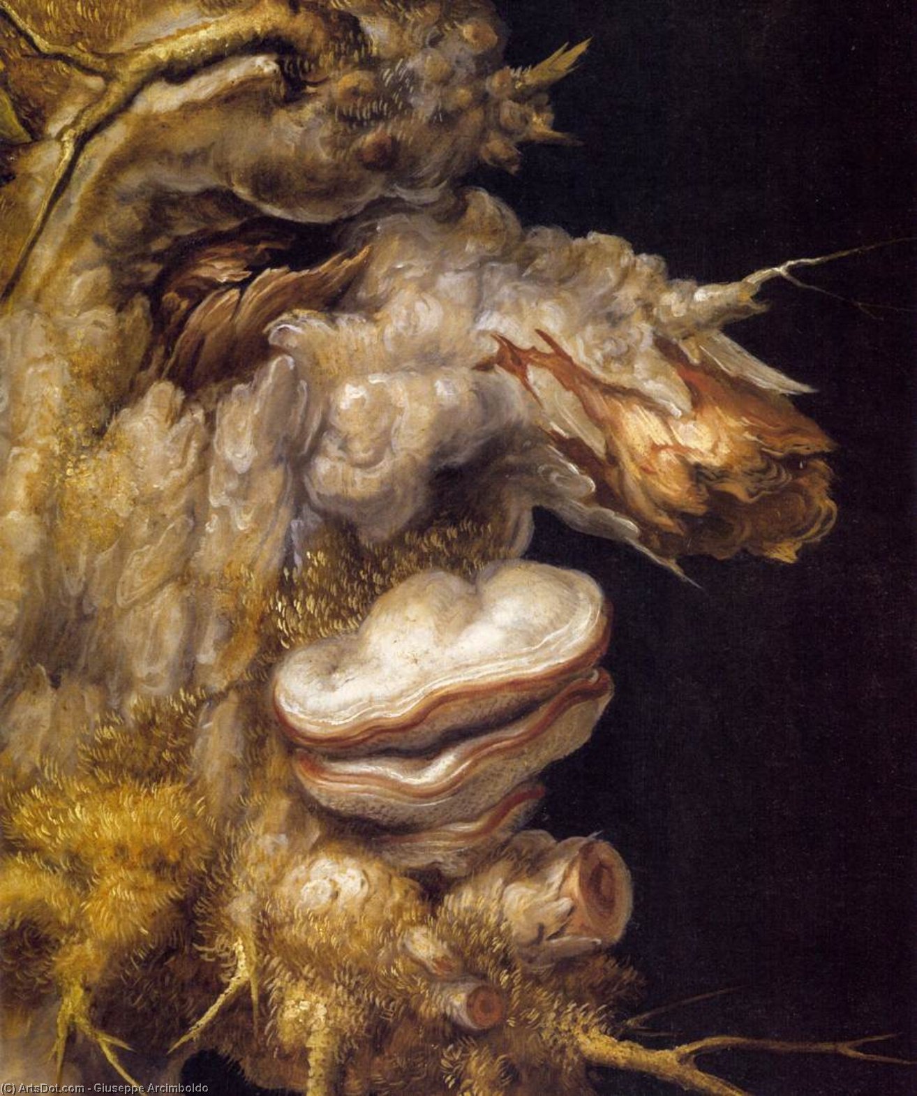 Winter (detail) — Жозеф Арчимбольдо