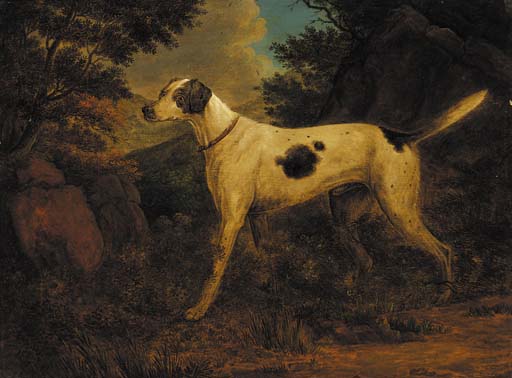 Dash, Colonel Thornton's Terrier, In A Wooded Landscape — Sawrey Gilpin
