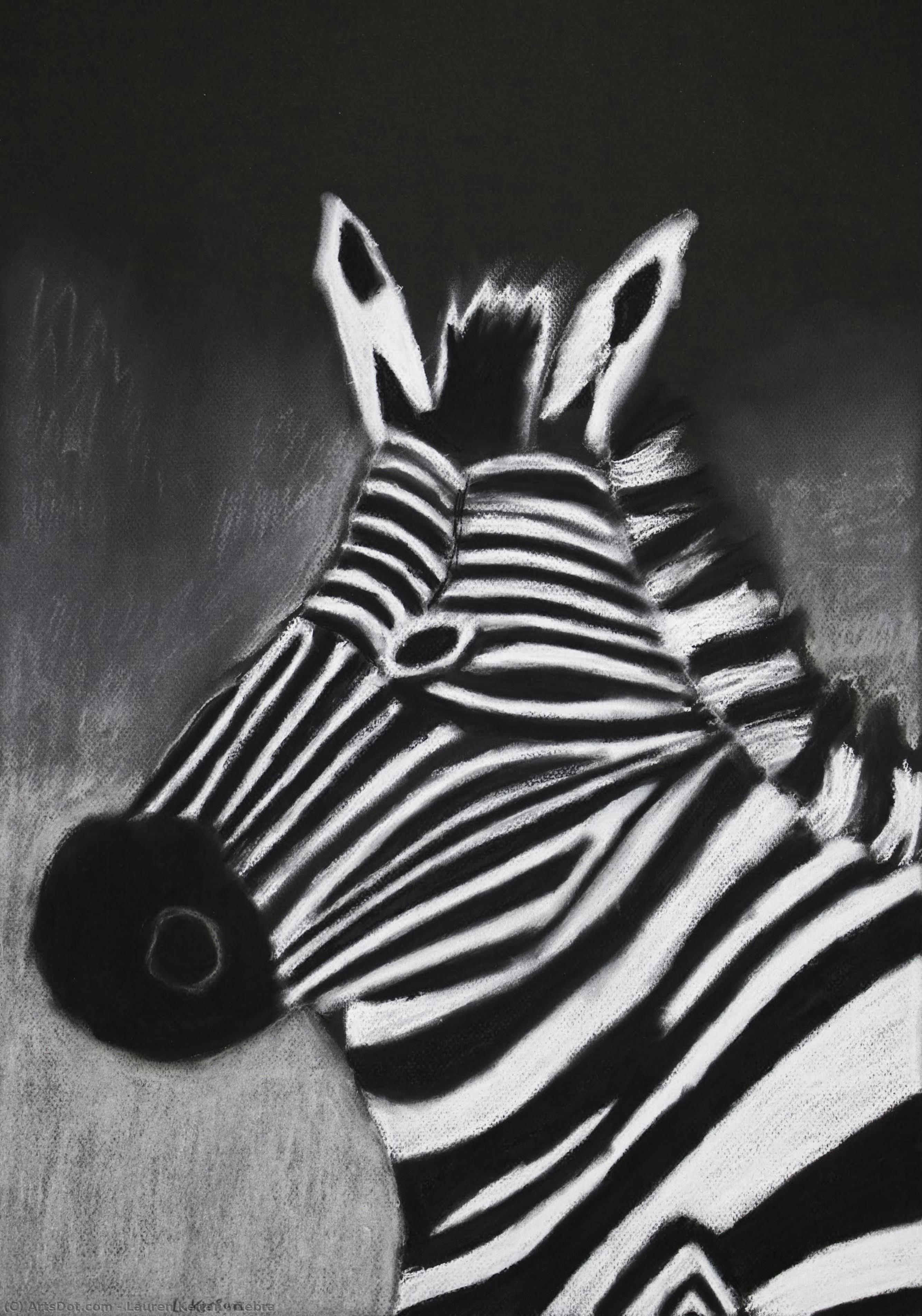 Zebra — Lauren Kerjan