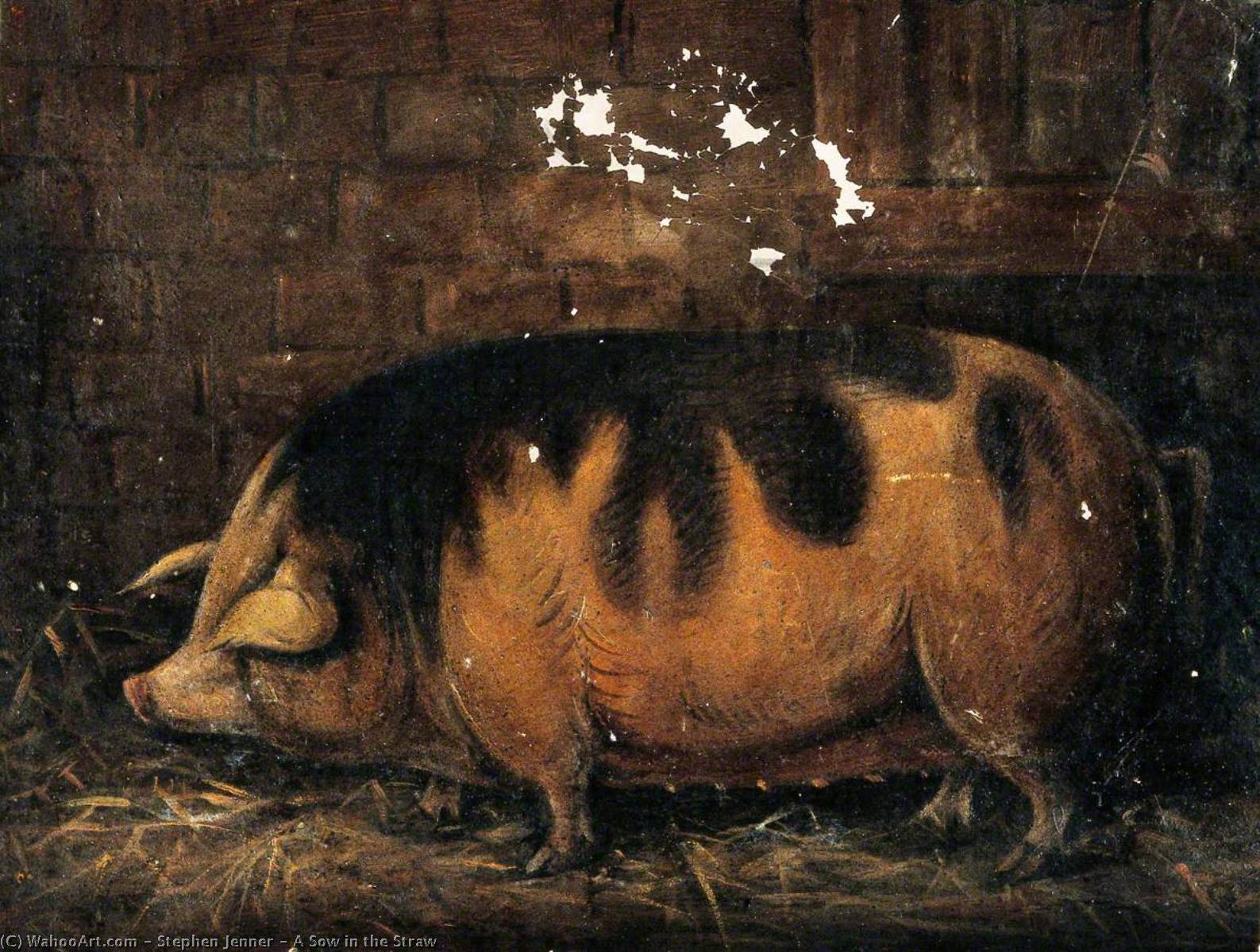 A Sow In The Straw — Stephen Jenner