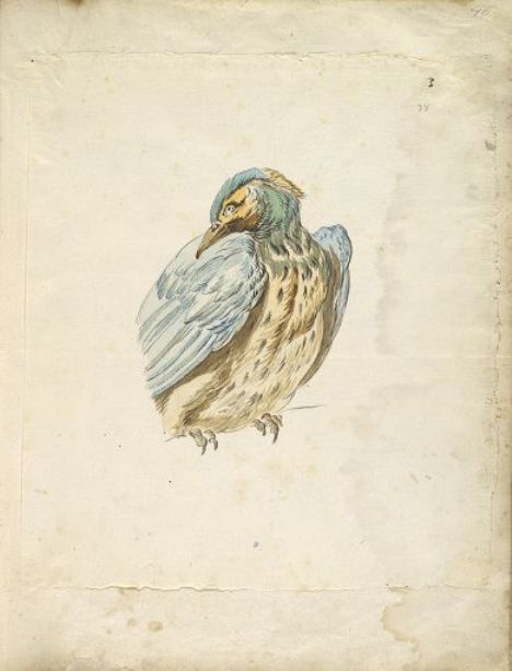 Perched Bird Looking Over Its Shoulder — Jean-baptiste Oudry