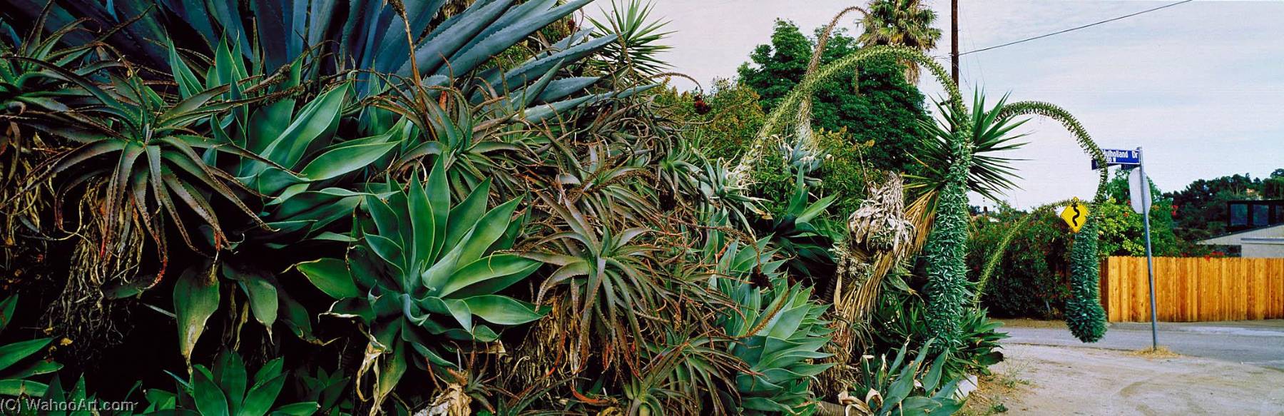 Mulholland At Multiview Drive, Los Angeles, California 1991 — Karen Halverson