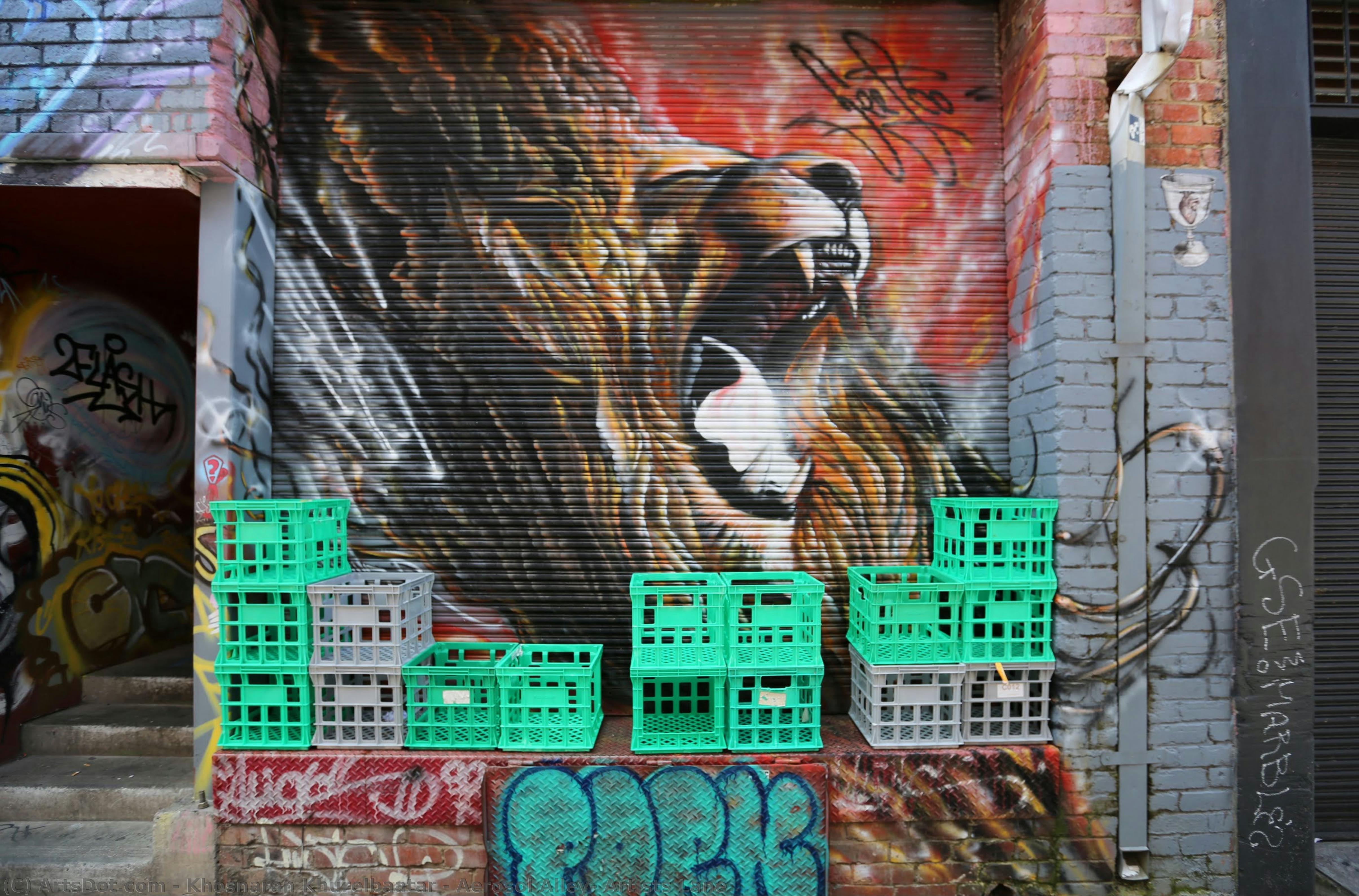 Aerosol Alley, Artists Lane — Khosnaran Khurelbaatar