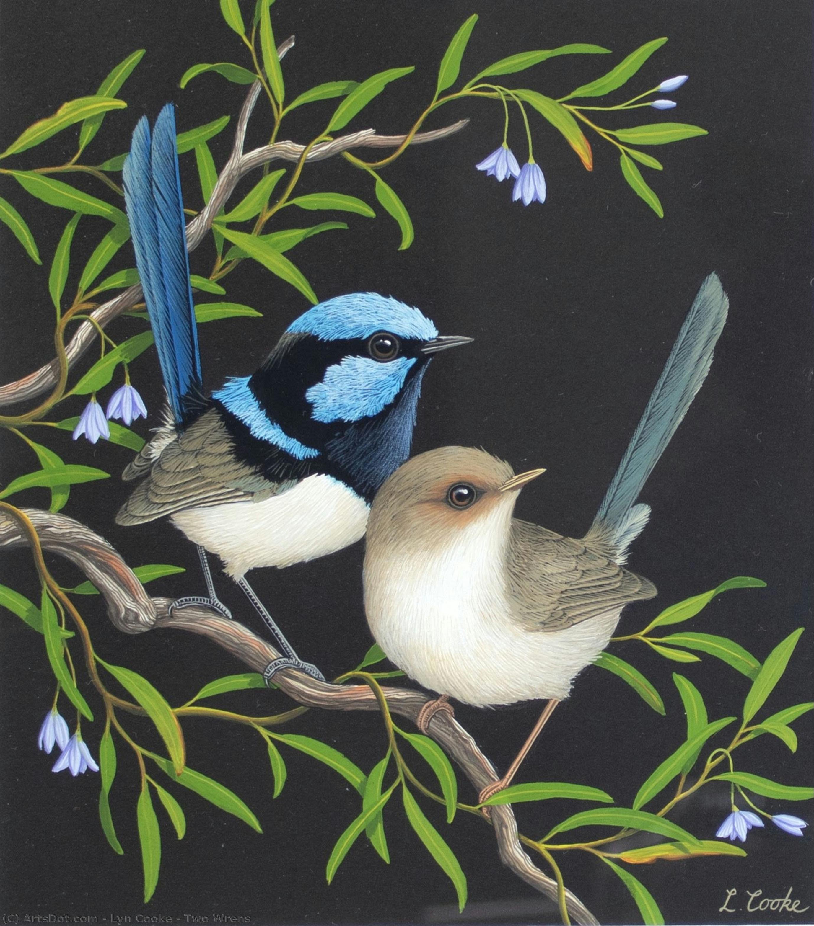 Two Wrens — Lyn Cooke
