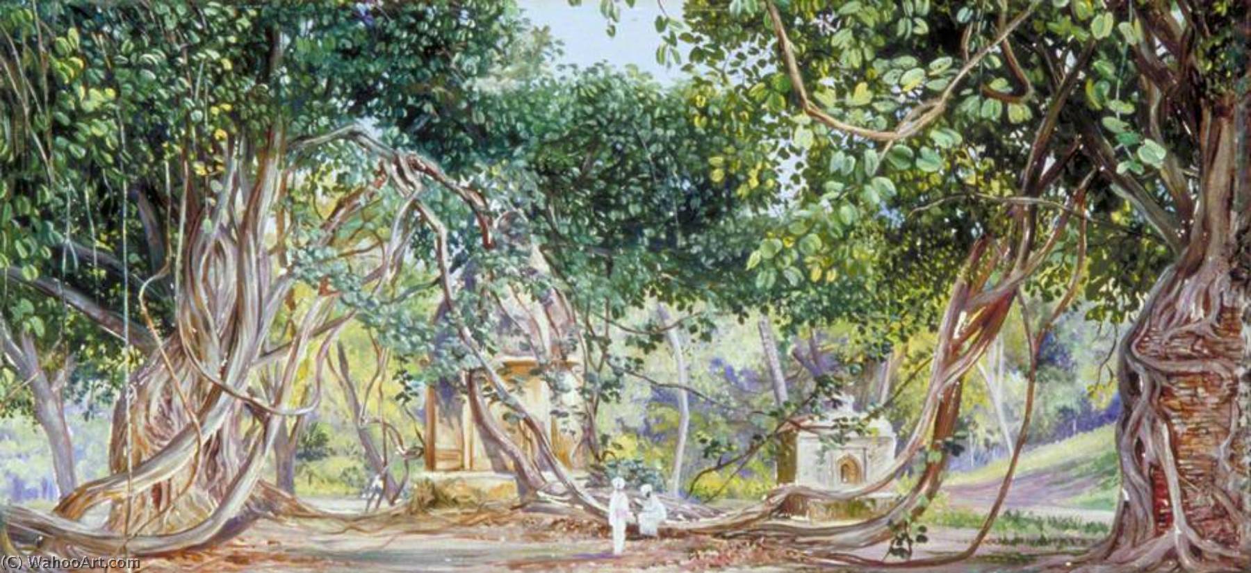 Bauhinia Creeper Crushing Tombs, Saharanpur, India — Marianne North