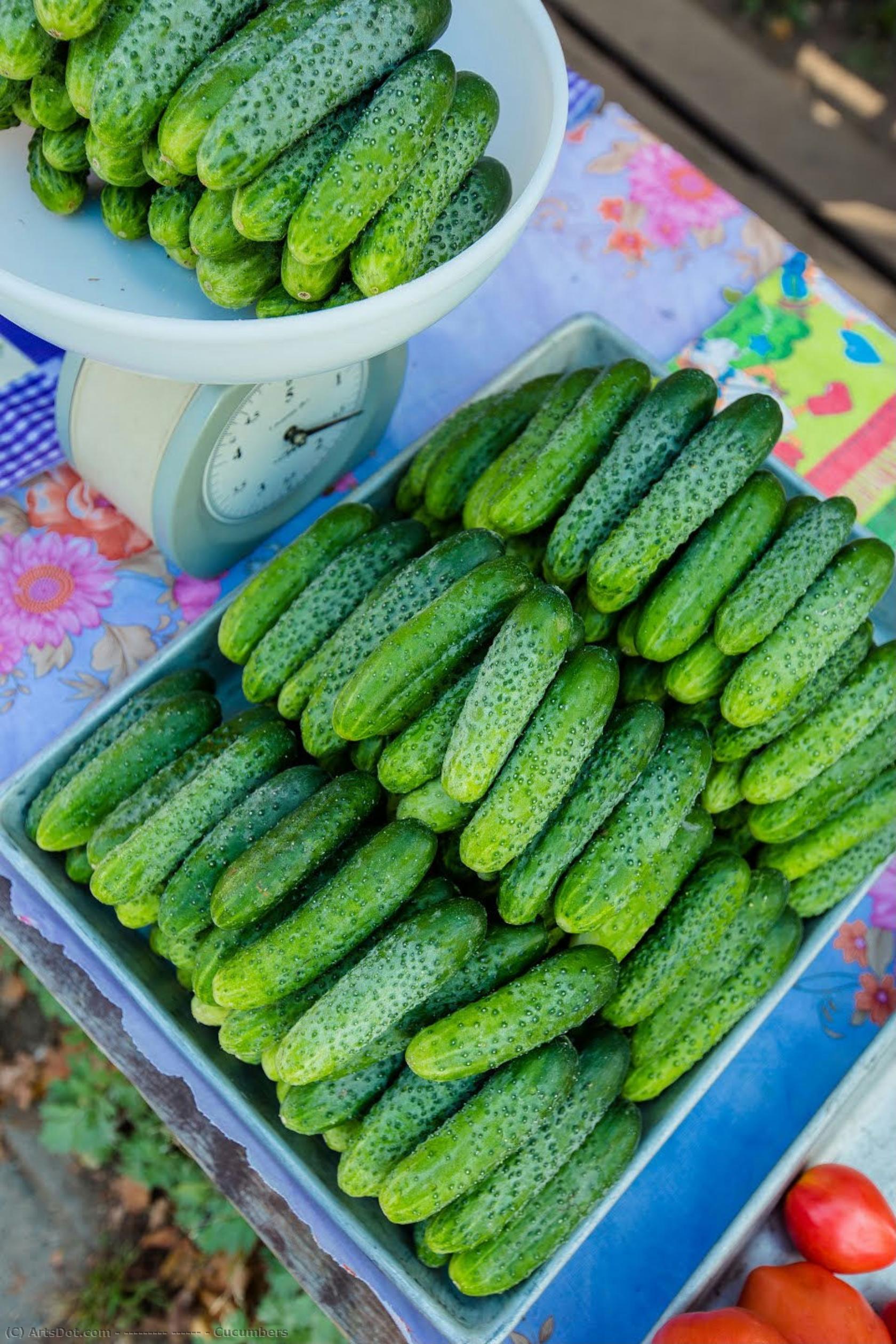 Cucumbers — Максим Никифорович Воробьёв
