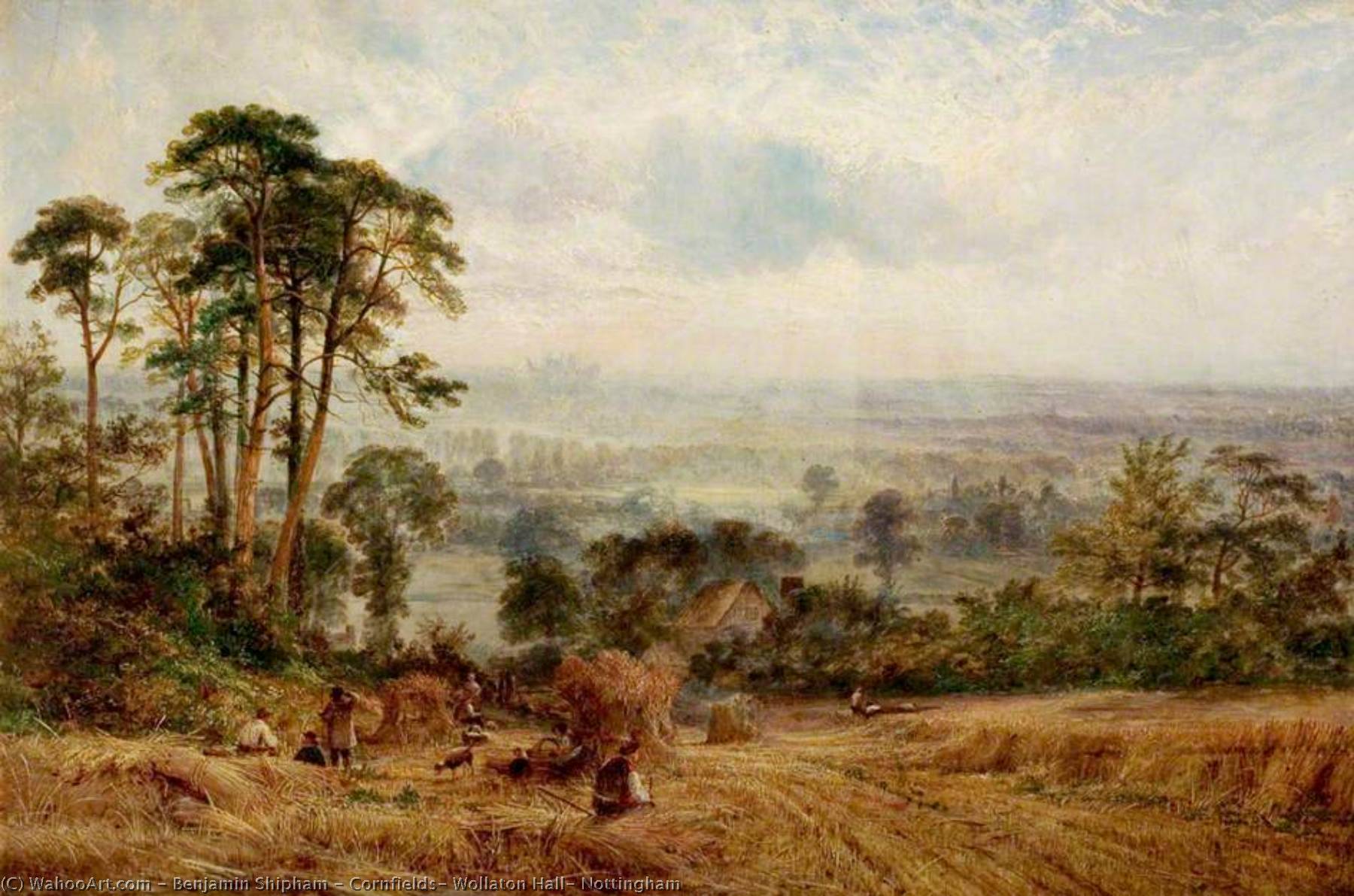 Cornfields, Wollaton Hall, Nottingham — Benjamin Shipham
