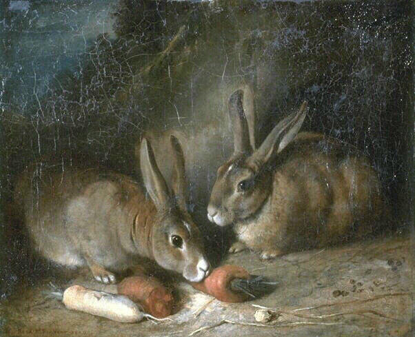 Lapins — Bonheur Marie Rosalie