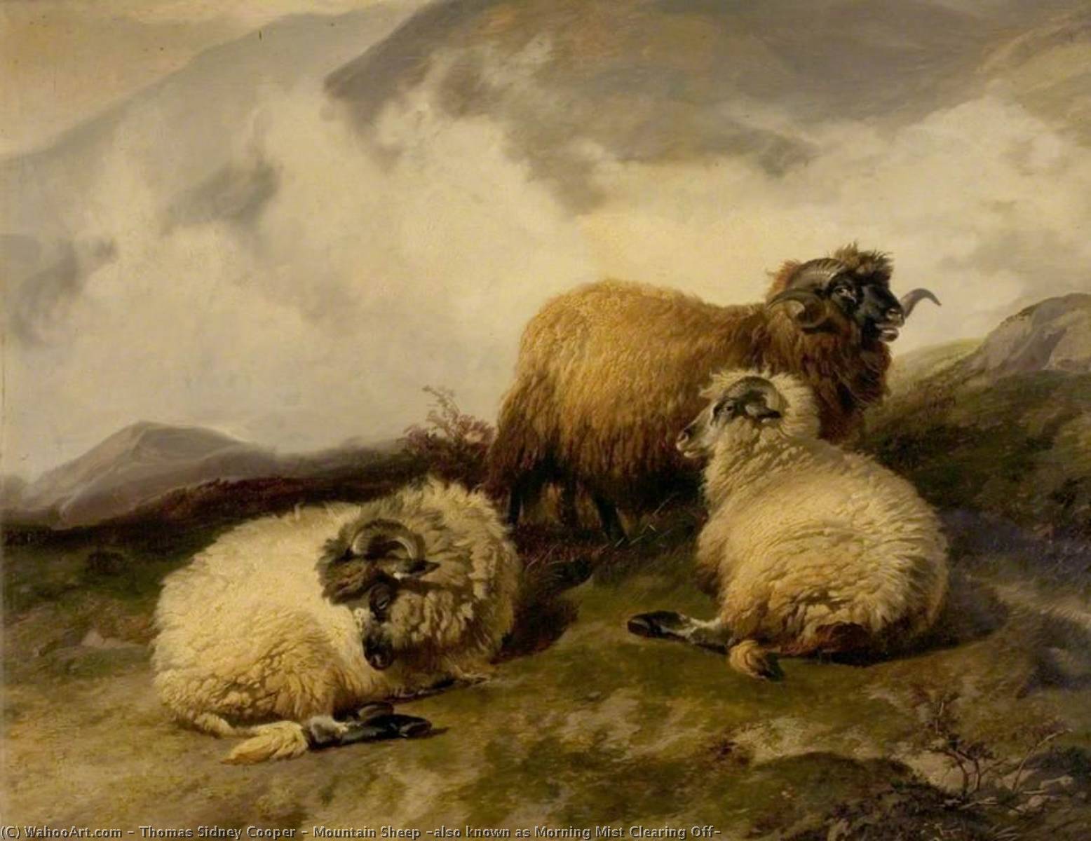 Mountain Sheep (also Known As Morning Mist Clearing Off) — Thomas Sidney Cooper