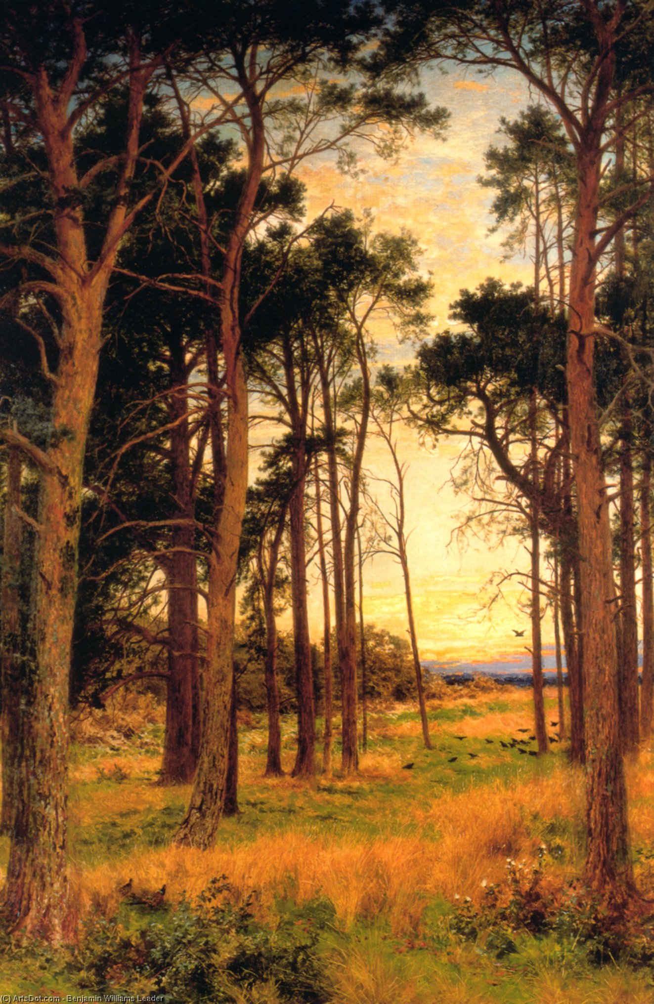 Skirt Of A Pine Wood — Benjamin Vilijam Lider