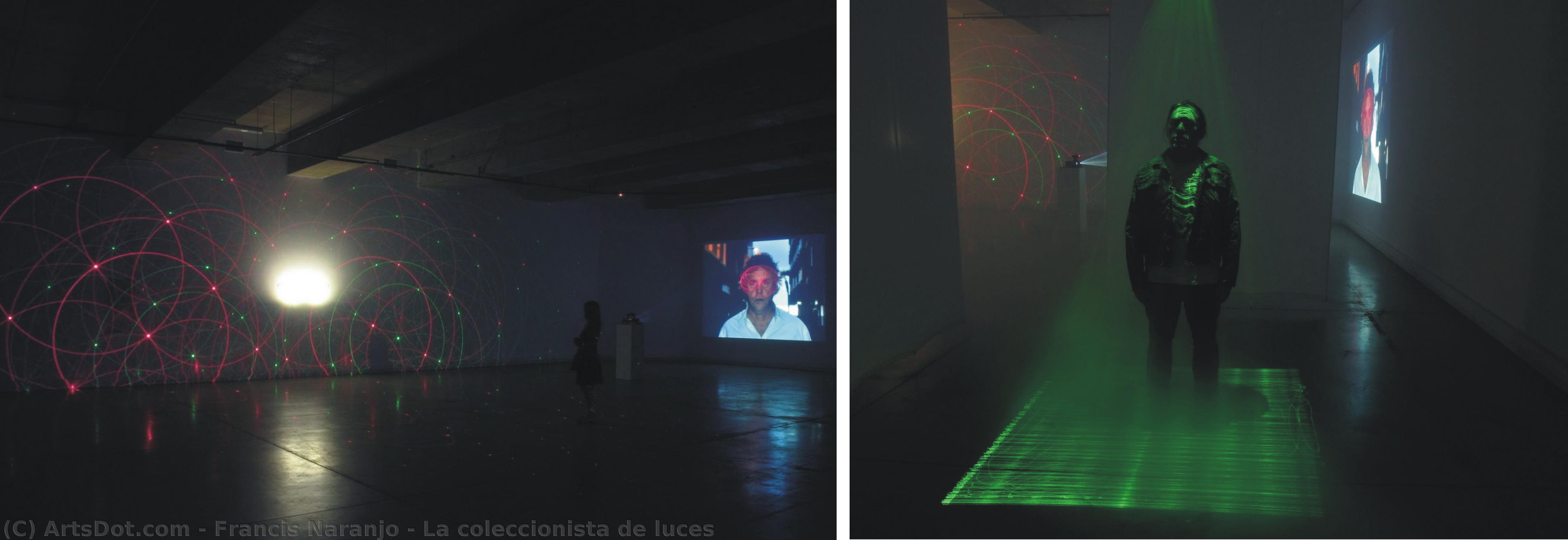 La Coleccionista De Luces — Francis Naranjo