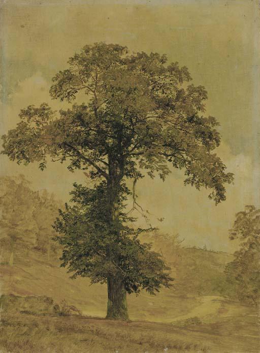 Study Of A Tree — Џаспер Франсис Кропси
