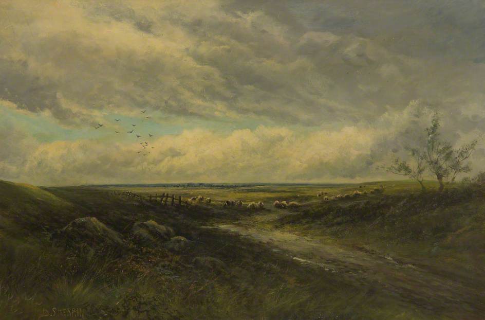 Landscape — Daniel Sherrin