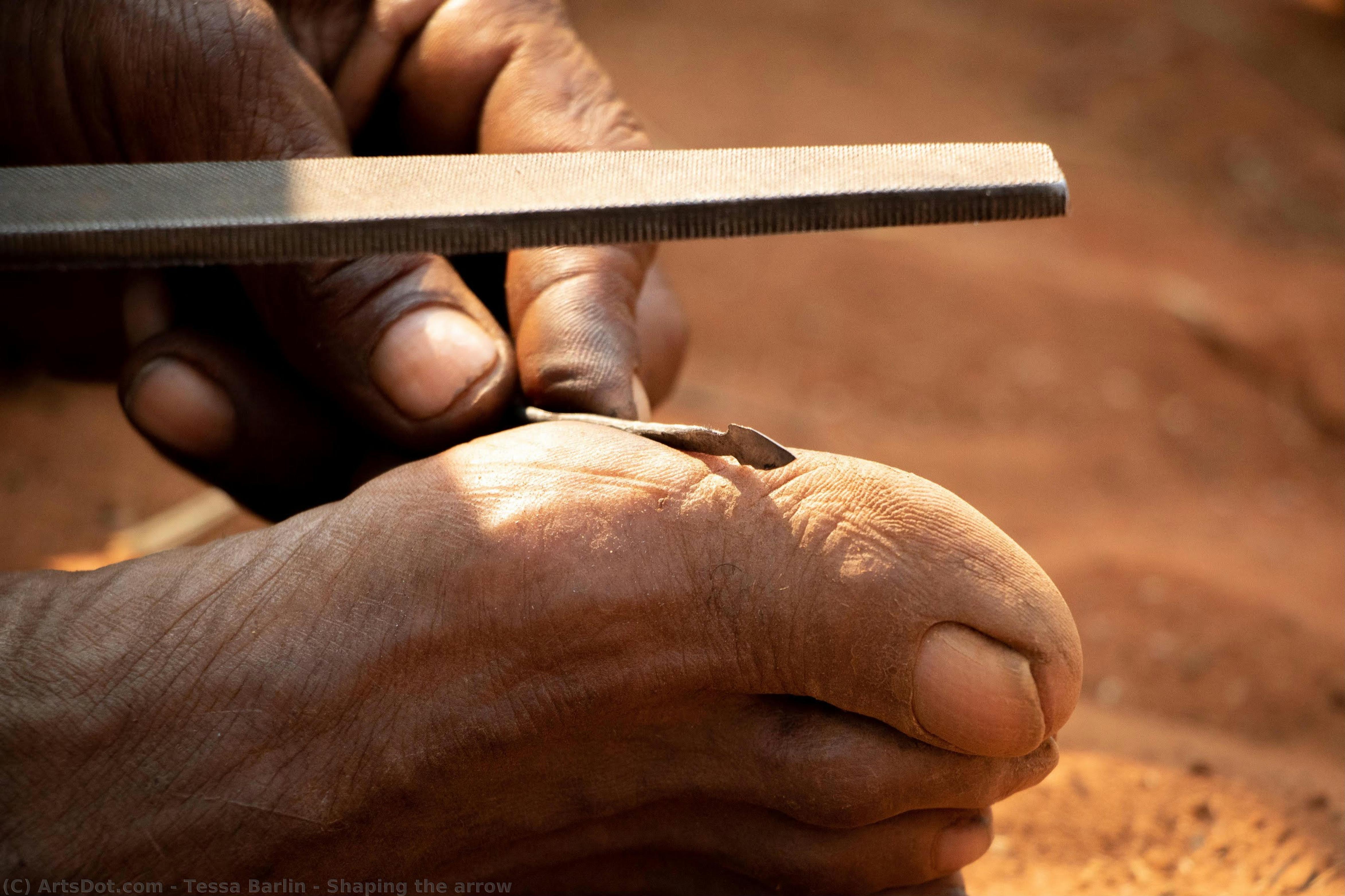 Shaping The Arrow — Tesa Barlin