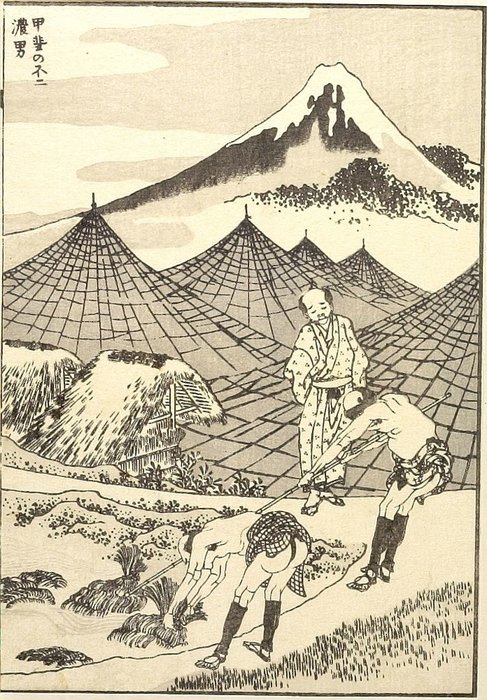 Das Feld Fuji In Kai Provinz — Katsushika Hokusai