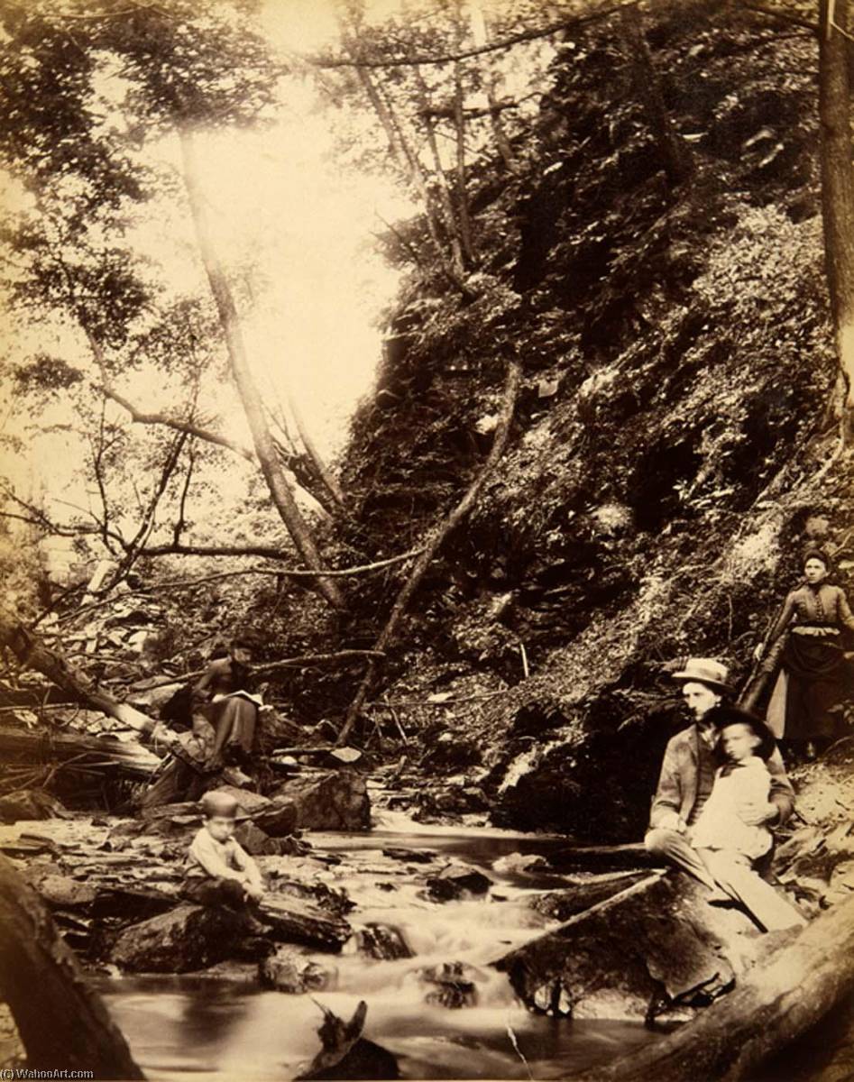 Devil's Gully, From The Album Views Of Charlestown, New Hampshire — Gotthelf Pach