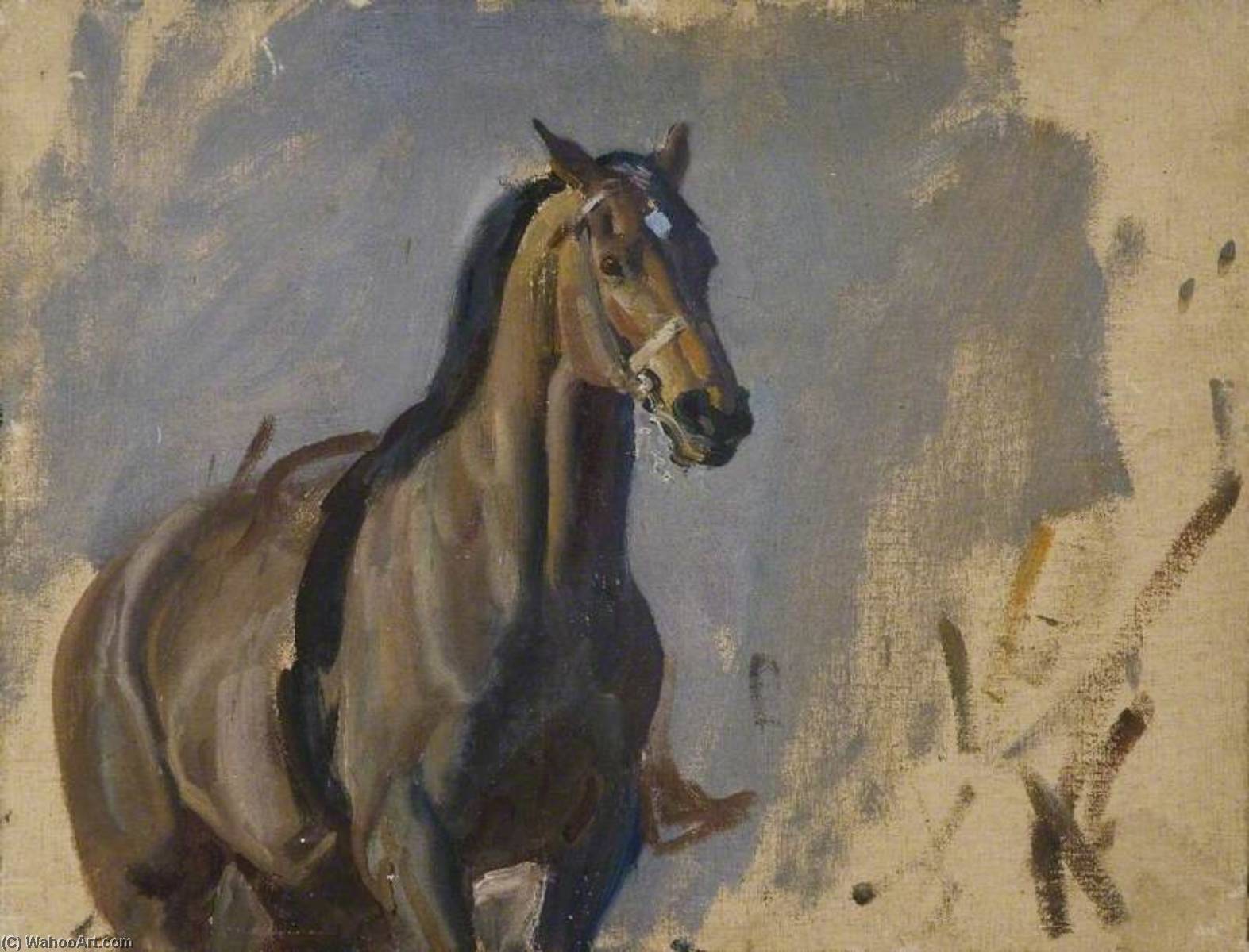 Study Of A Bay Hunter — Sir Alfred James Munnings
