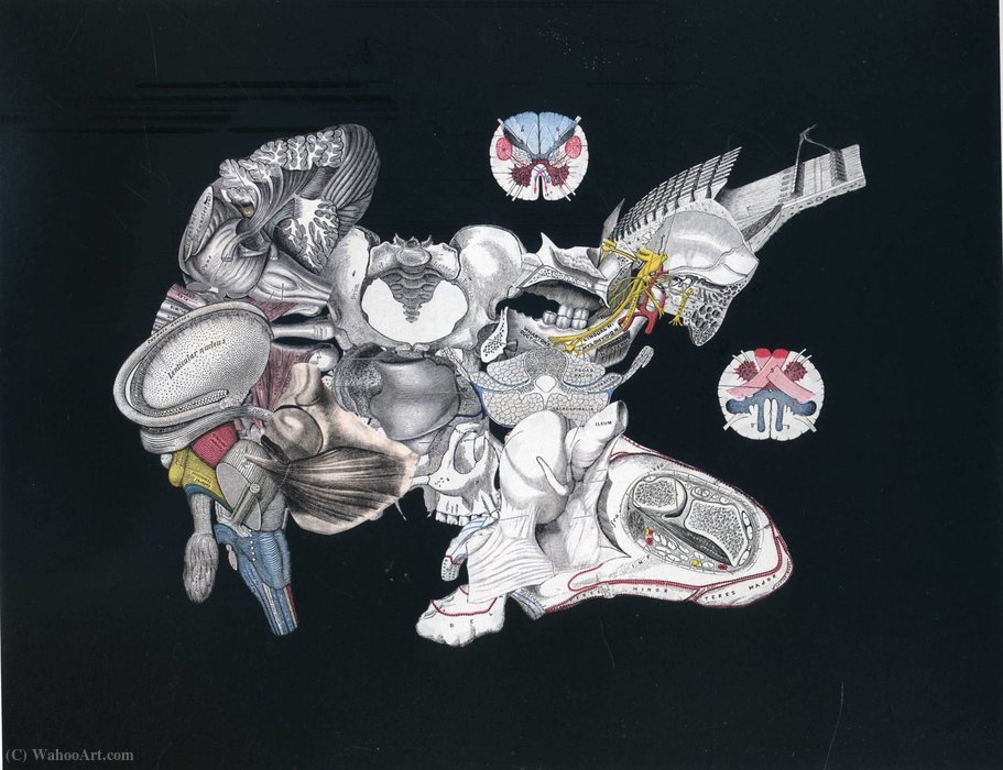 Untitled (850) — Frederick Sommer