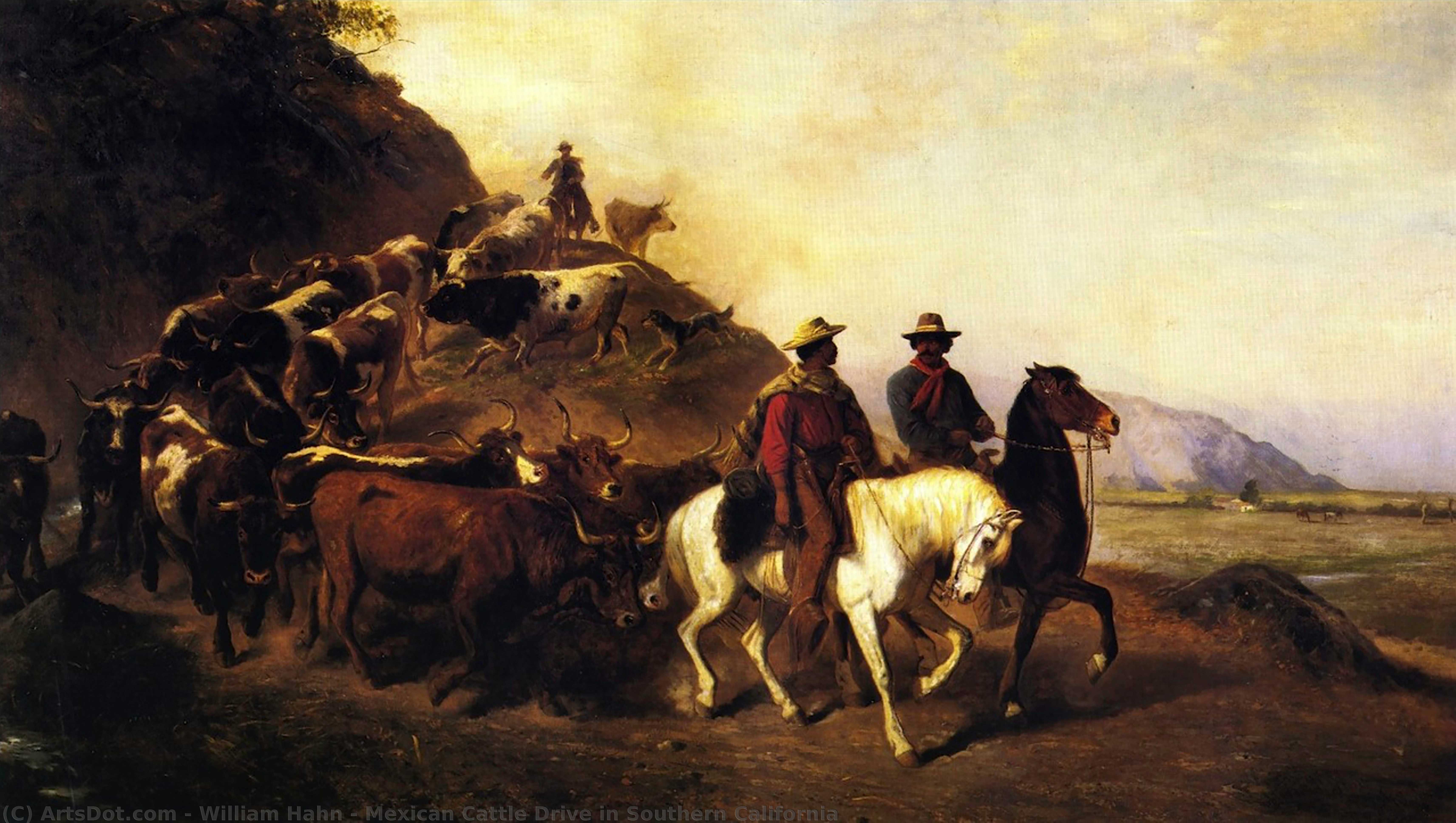 Mexican Cattle Drive In Southern California — William Hahn