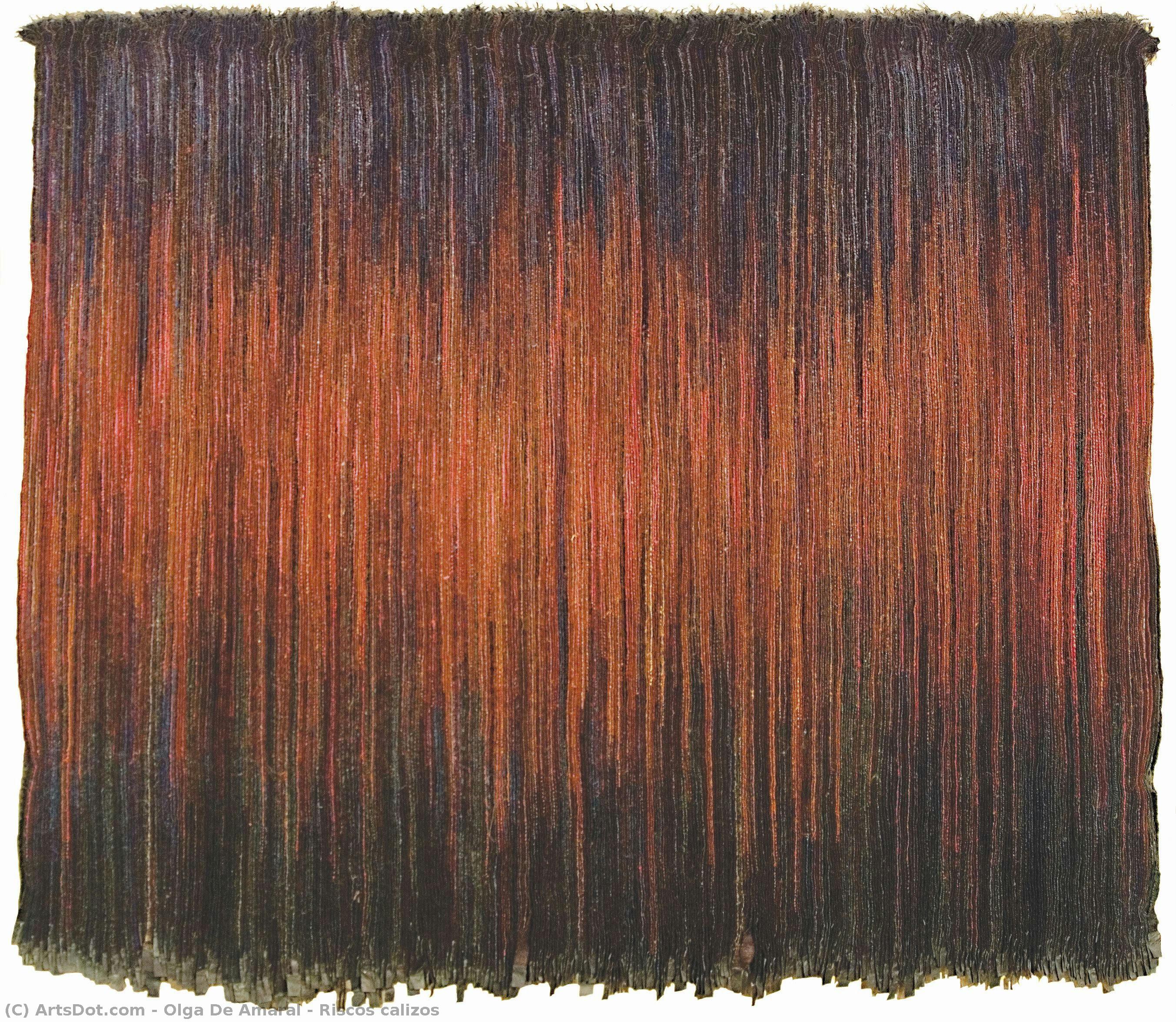 Riscos Calizos — Olga De Amaral