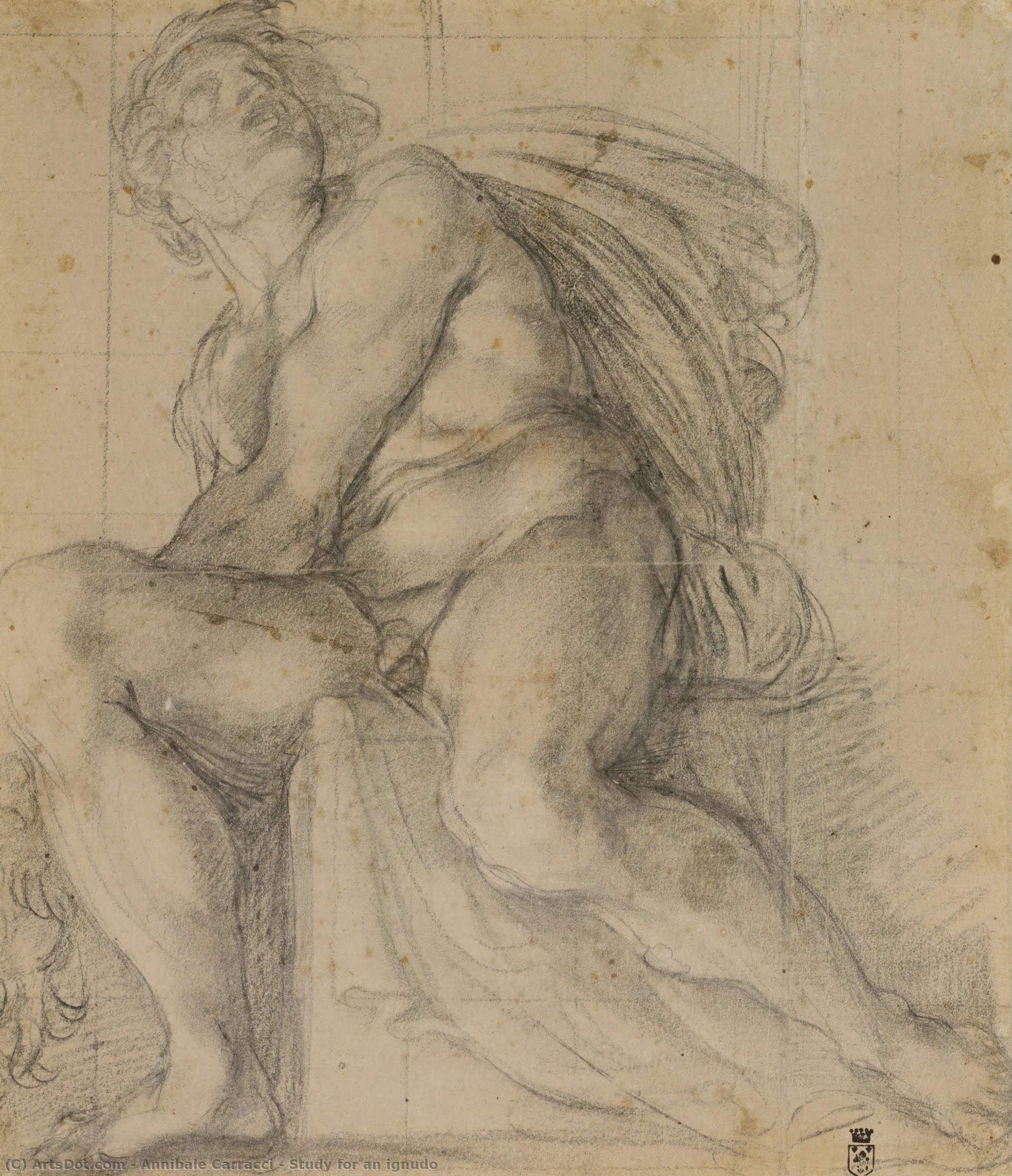 Study For An Ignudo — Анна́биле Каракка́ччи