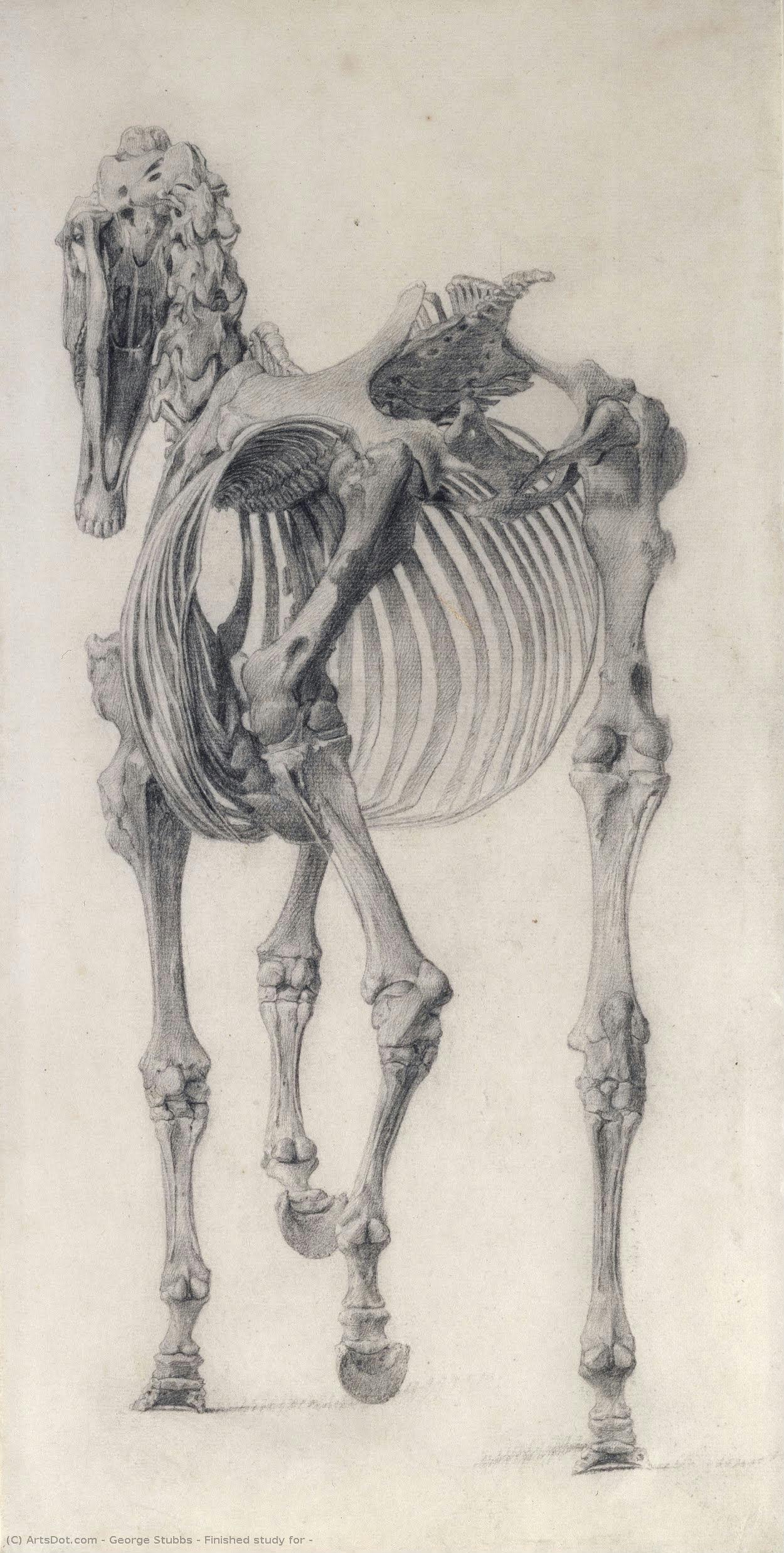 Finished Study For — Джордж Стббс