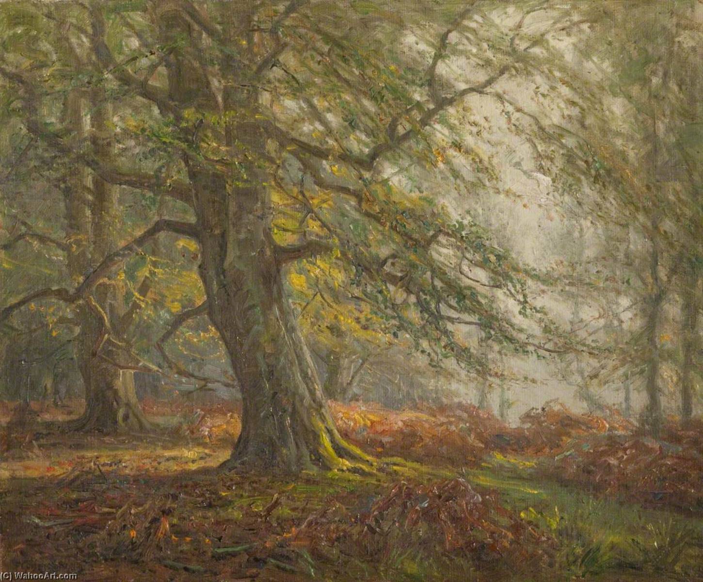 New Forest — Frederick Golden Short