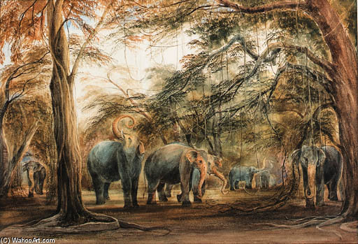 A Herd Of Elephants, Ceylon — Andrew Nicholl