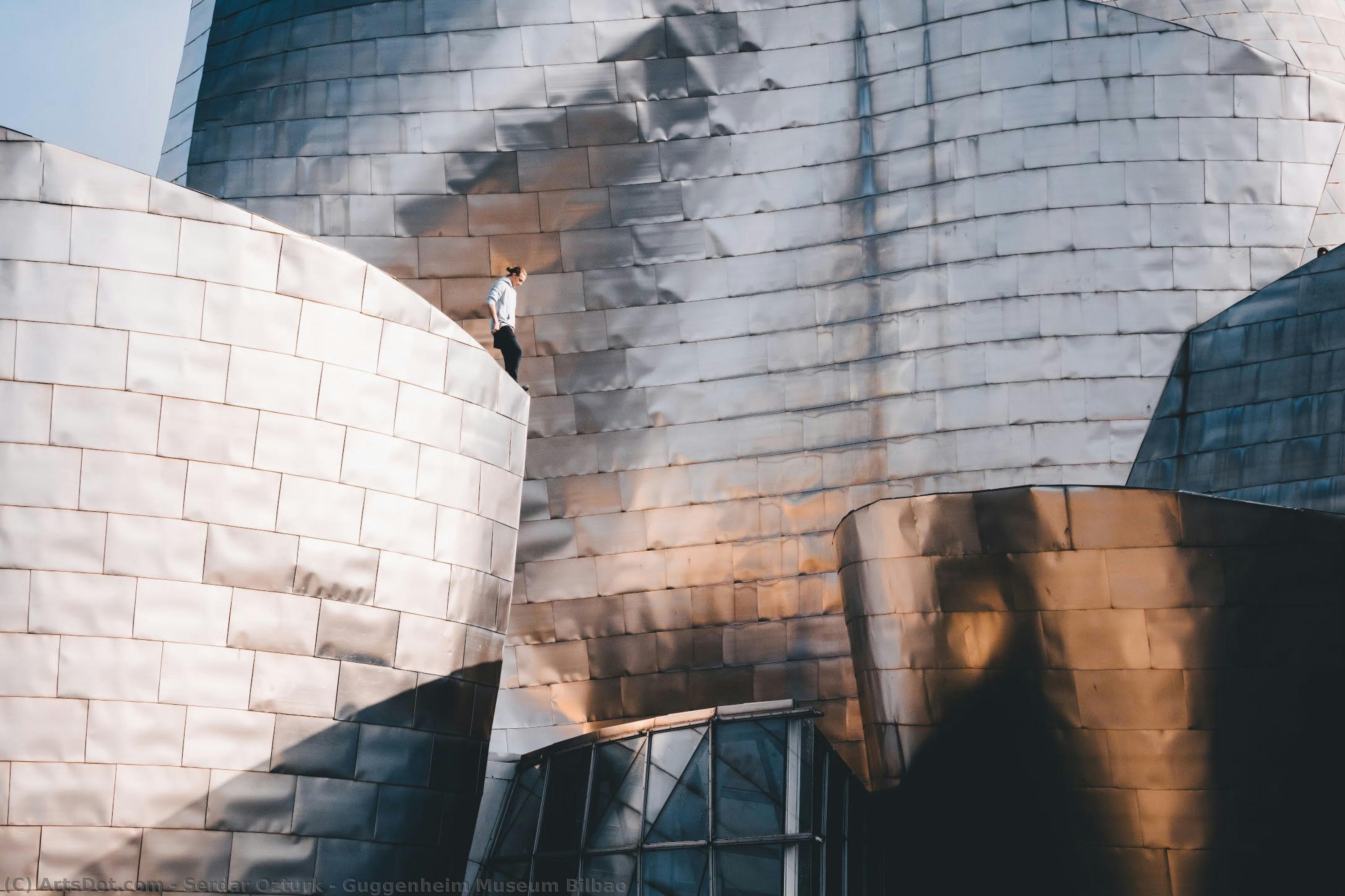 Guggenheim Museum Bilbao — Serdar Ozturk
