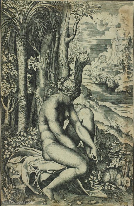 Venus Wounded By A Rose's Thorn — Marco Dente Da Ravenna