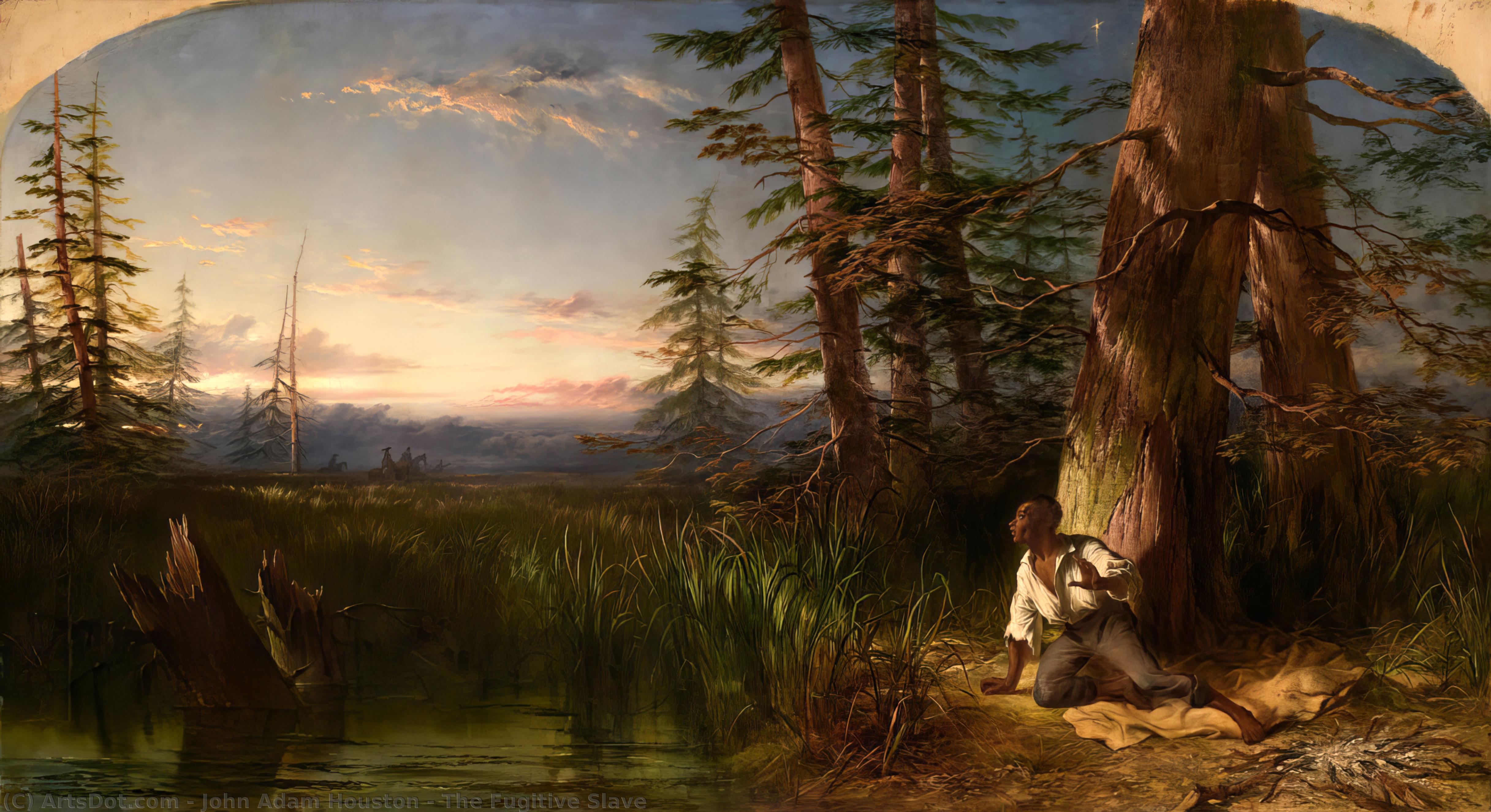 The Fugitive Slave — John Adam Houston