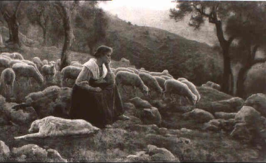 Hilly Pasture Land With A Seated Shepherdess In The Midst Of Her Flock — Enrico Nardi