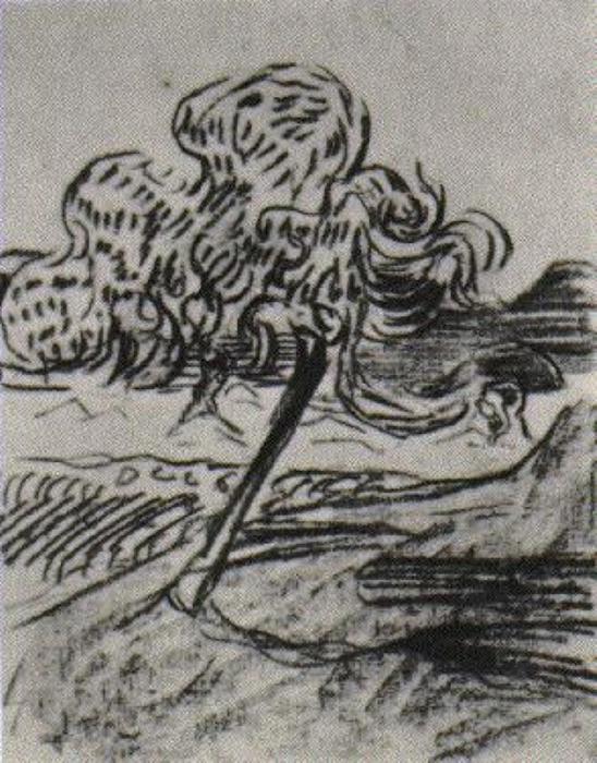 Estudio De Un Árbol Frutífero — Vincent Willem Van Gogh
