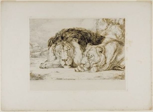 Sleeping Lion And Lioness — John Frederick Lewis