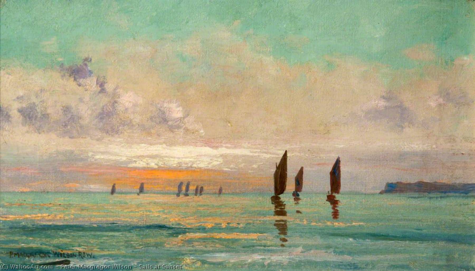 Sails At Sunset — Peter Macgregor Wilson