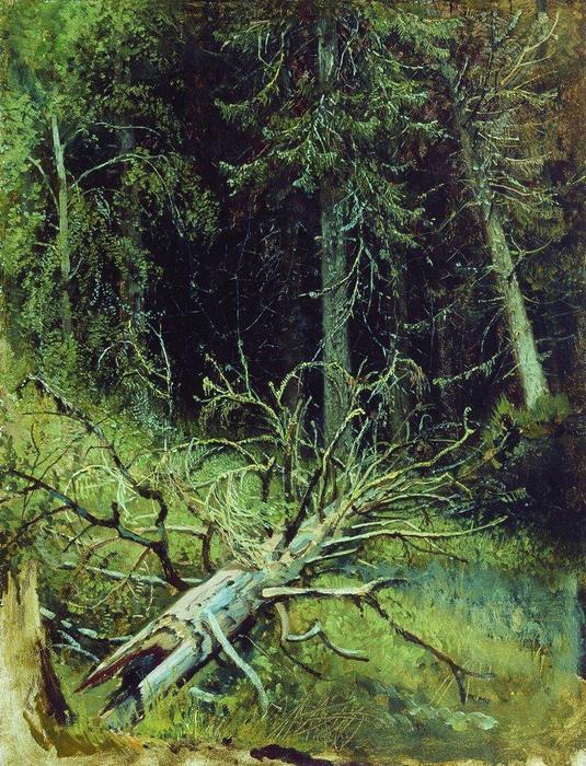 In The Fir Forest — Ivan Ivanovich Shishkin