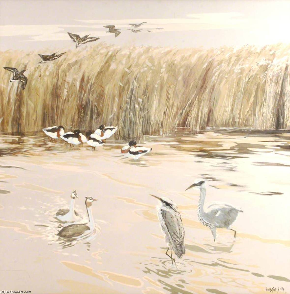 Herons — Anne Toms
