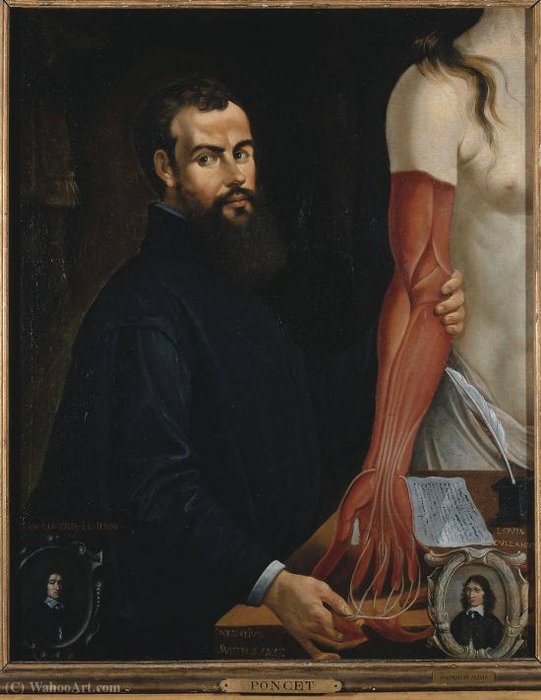 A Posthumous Portrait Of Andreas Vesalius — Andreas Vesalius