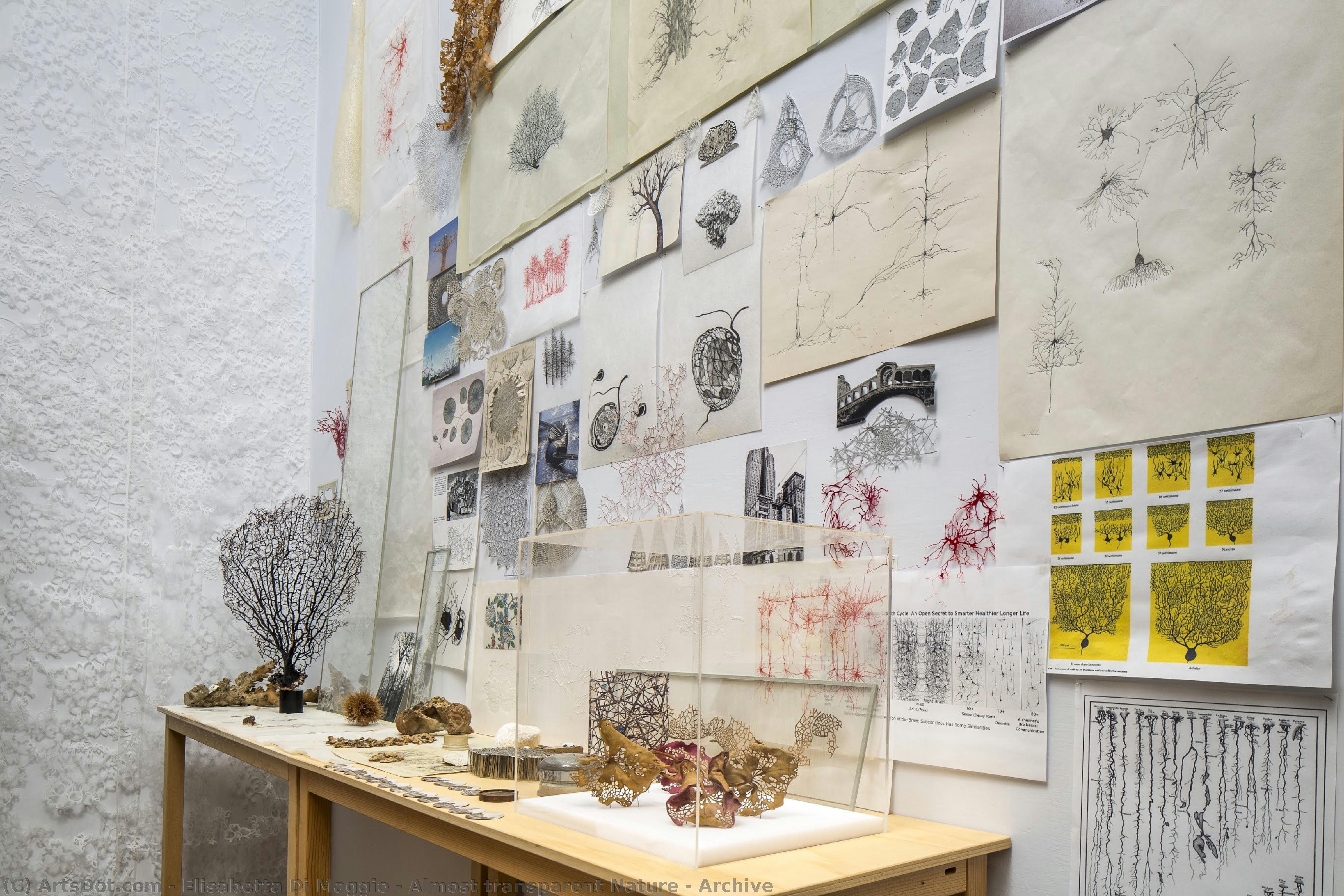 Almost Transparent Nature - Archive — Elisabetta Di Maggio