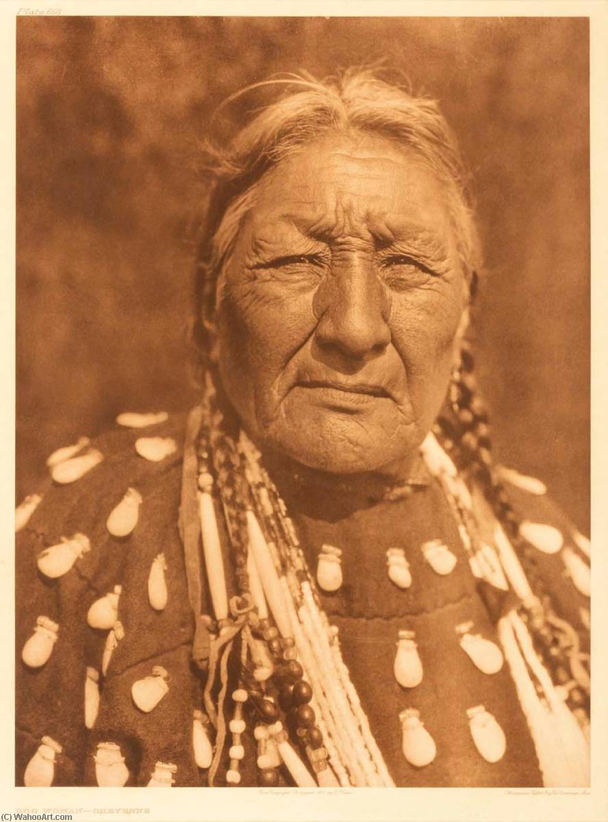 Dog Woman Cheyenne — Edward Sheriff Curtis