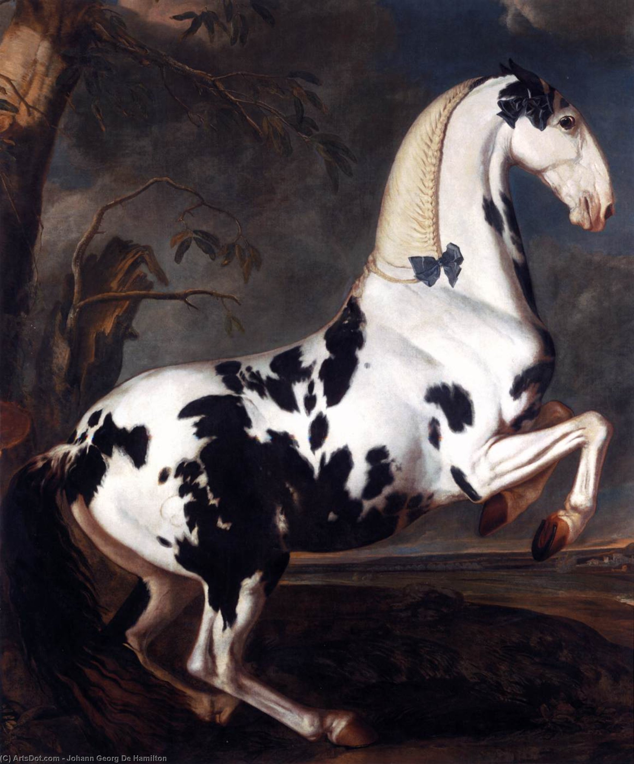Portrait Of A Piebald — Johann Georg De Hamilton