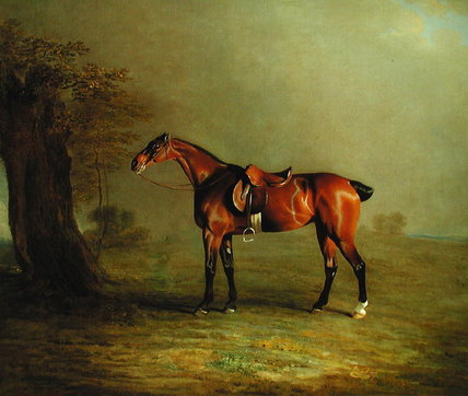 Racehorse — Benjamin Marshall