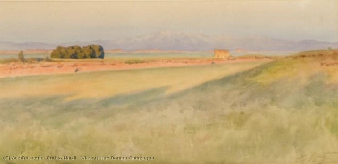 View Of The Roman Campagna — Enrico Nardi